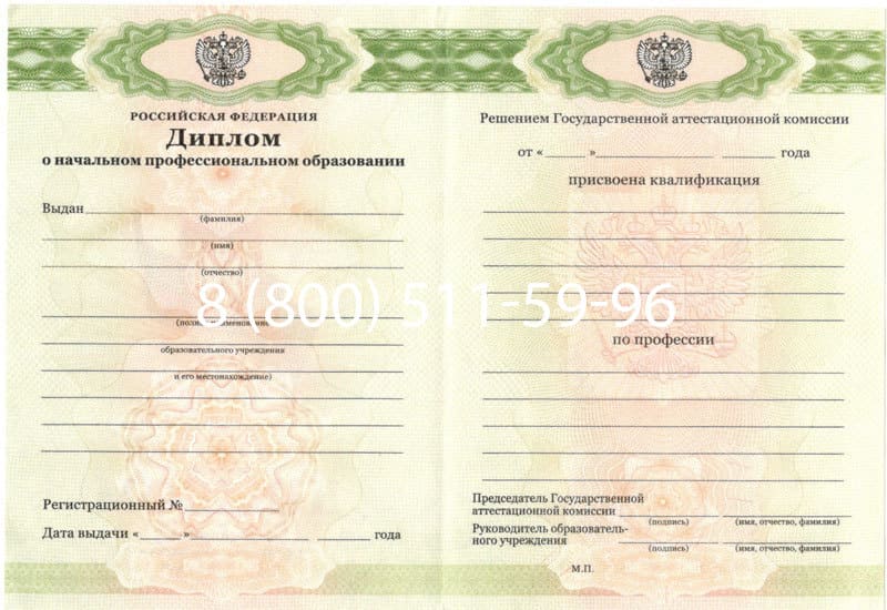 Купить Диплом о начальном образовании 2010-2024 годов в Дербенте Купить Диплом о начальном образовании 2010-2024 годов в Дербенте